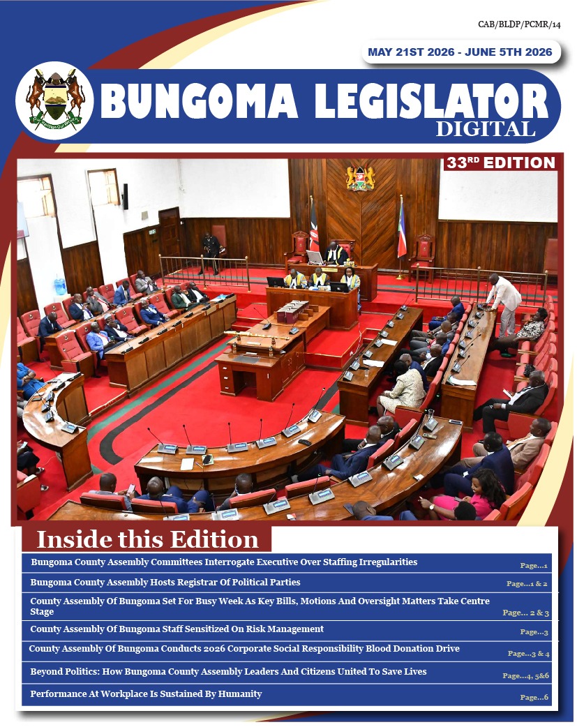 BCL 33RD EDITION E-NEWSLETTER