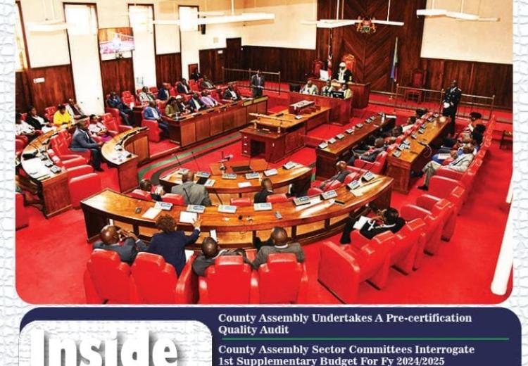 BCL 11TH EDITION E-NEWSLETTER