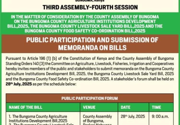PUBLIC PARTICIPATION AND SUBMISSION OF MEMORANDA ON BILLS